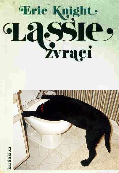 Lassie zvrac